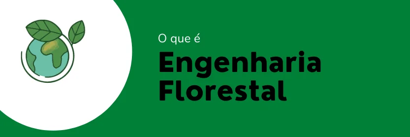 engenharia florestal